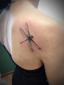 Libelle by:Joerg